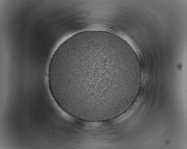 X0000103271387200809051457