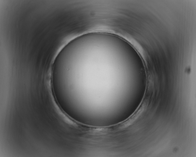 X0000103271390200809051457