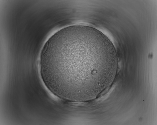 X0000103271391200809051457