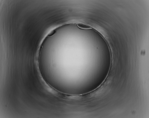 X0000103271392200809051457