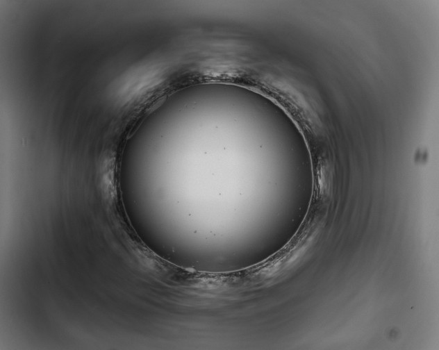 X0000103271396200809051456