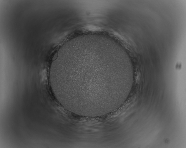 X0000103271397200809051456