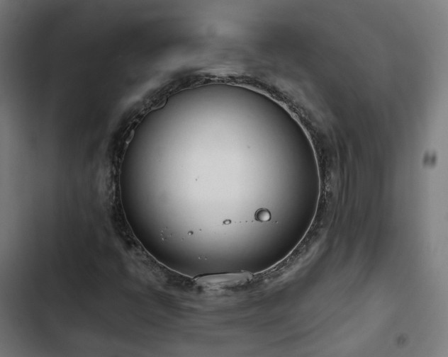 X0000103271398200809051456