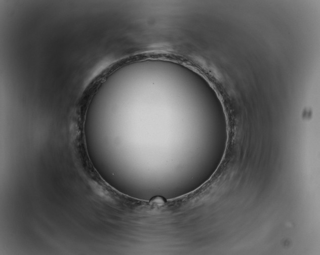 X0000103271400200809051456