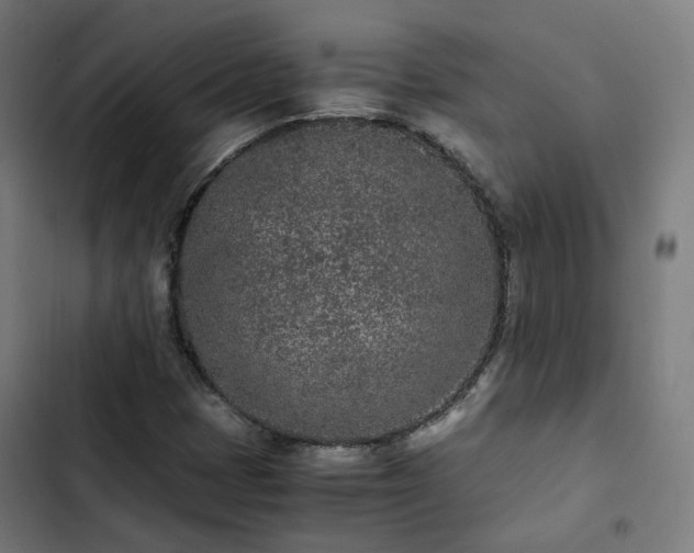 X0000103271401200809051456