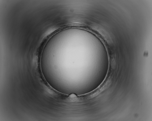 X0000103271402200809051456