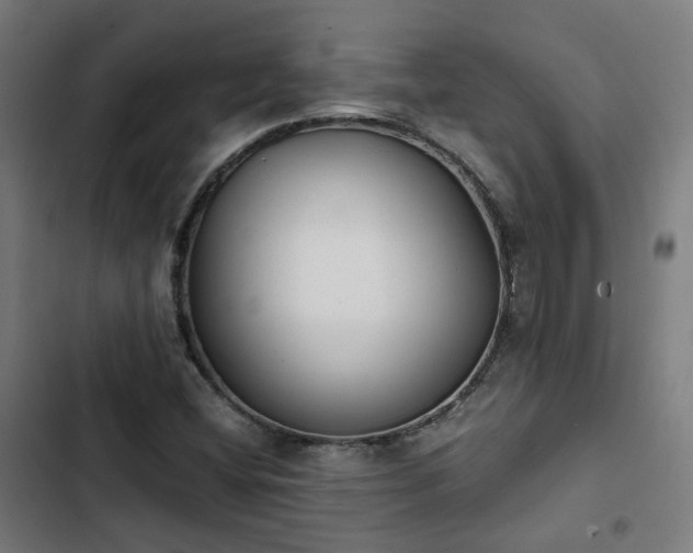 X0000103271404200809051456