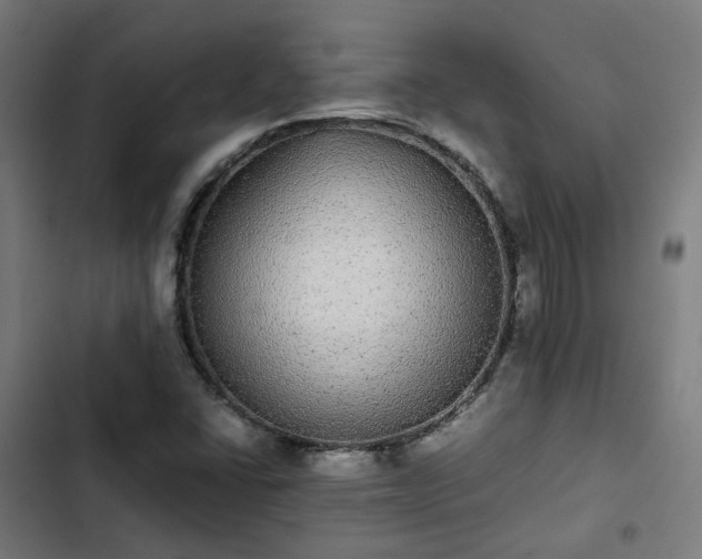X0000103271406200809051456