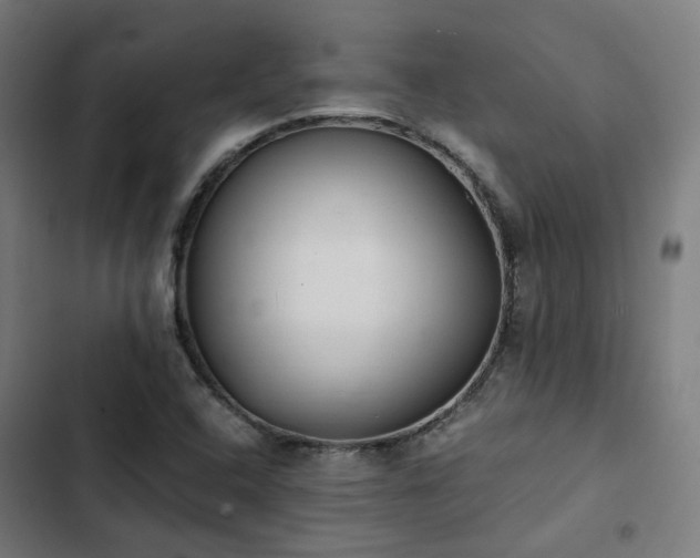 X0000103271408200809051456
