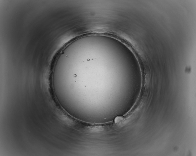 X0000103271410200809051456