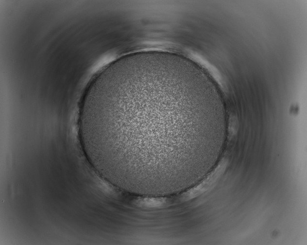X0000103271411200809051456