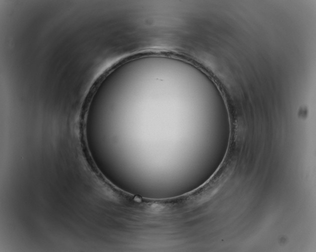 X0000103271412200809051456