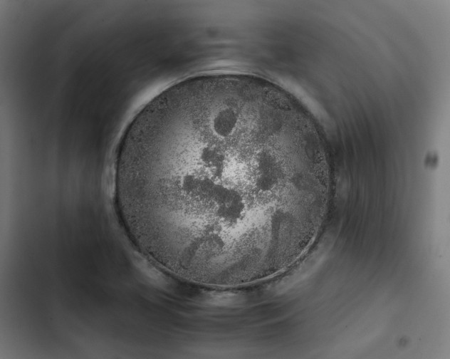 X0000103271413200809051456