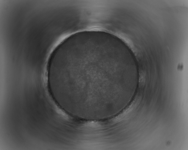 X0000103271414200809051456