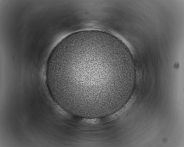 X0000103271415200809051456
