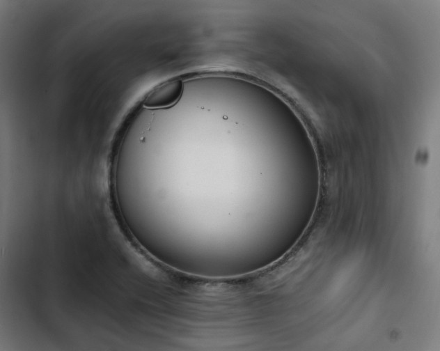 X0000103271416200809051456