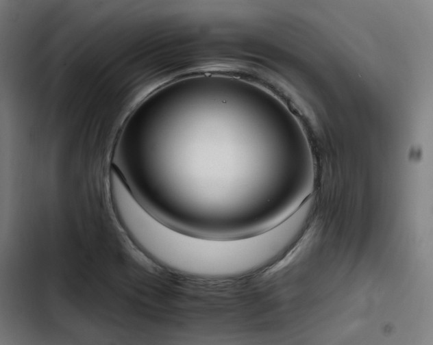 X0000103271417200809051456
