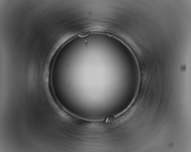 X0000103271418200809051456