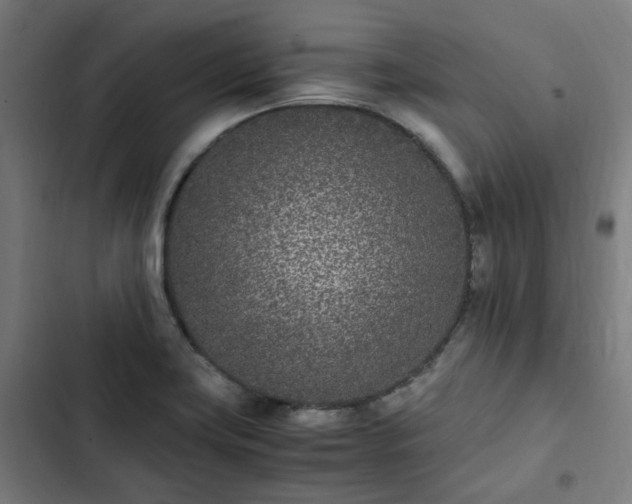 X0000103271419200809051456