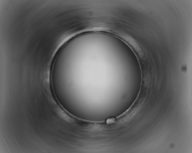 X0000103271420200809051456