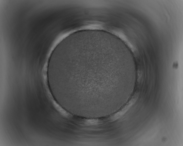 X0000103271421200809051456