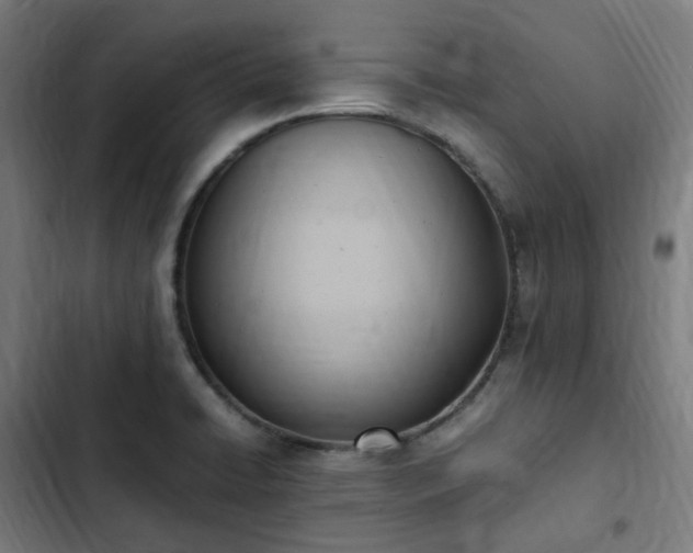 X0000103271422200809051456