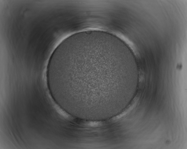 X0000103271423200809051456
