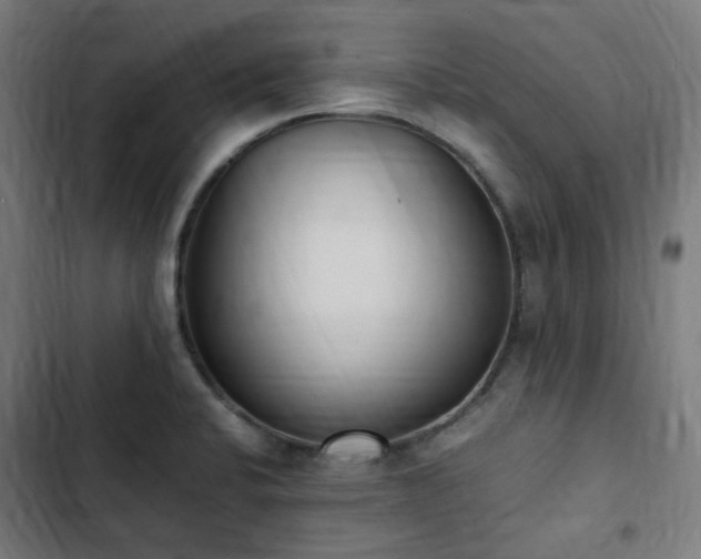 X0000103271424200809051456