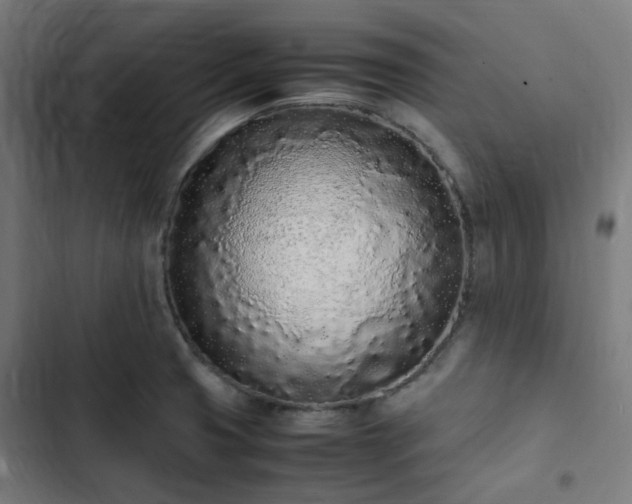 X0000103271425200809051456