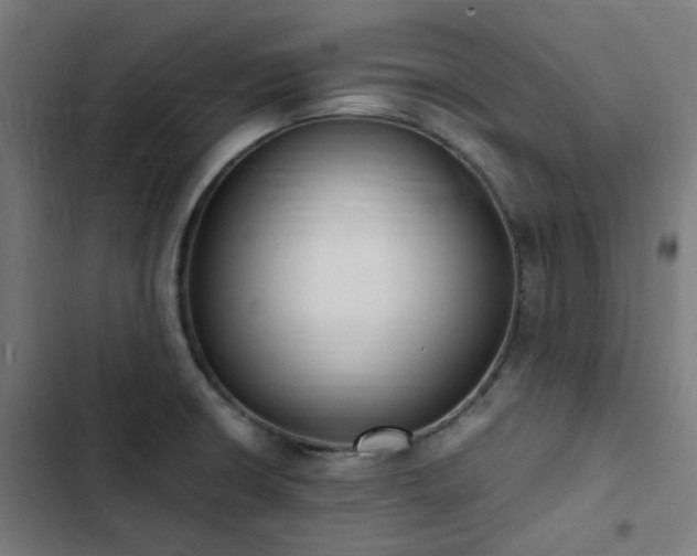 X0000103271426200809051456