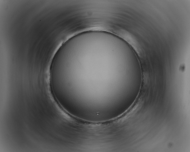 X0000103271428200809051456