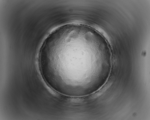 X0000103271429200809051456