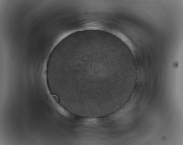 X0000103271431200809051456