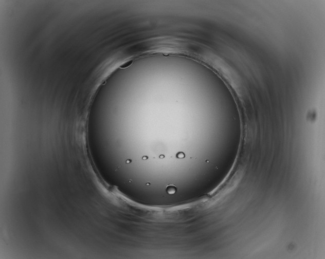 X0000103271433200809051456