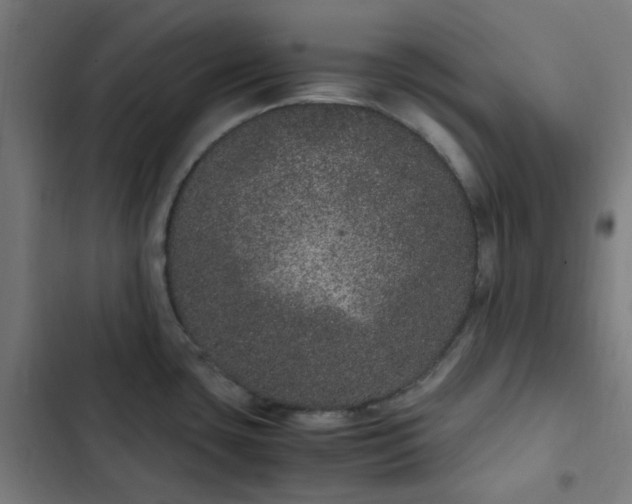 X0000103271435200809051457