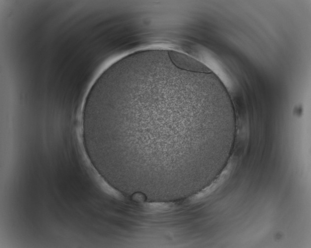 X0000103271436200809051457