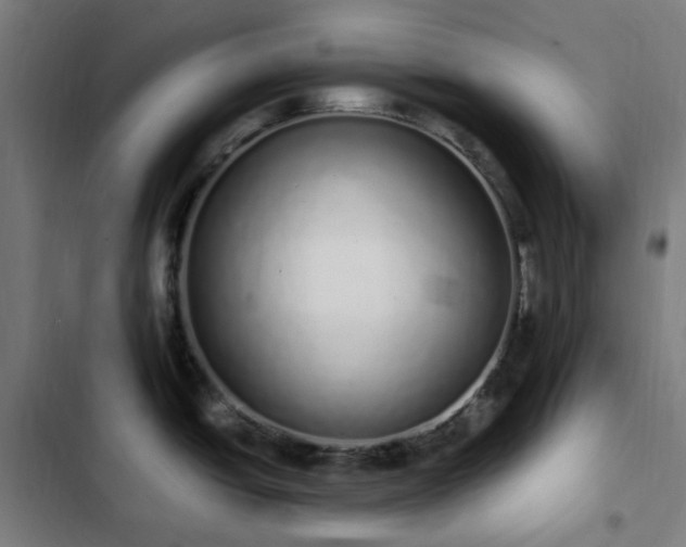 X0000103271438200809051457