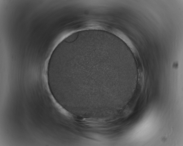 X0000103271439200809051457