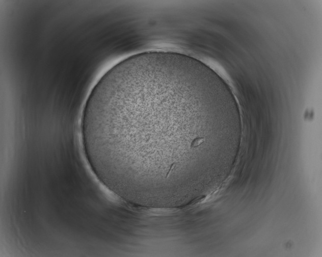 X0000103271440200809051457