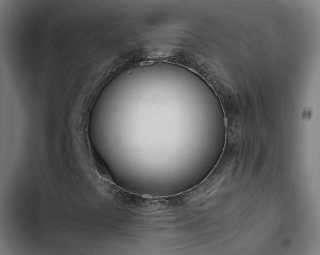 X0000103271441200809051456