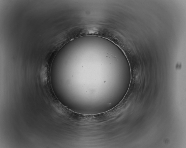 X0000103271442200809051456