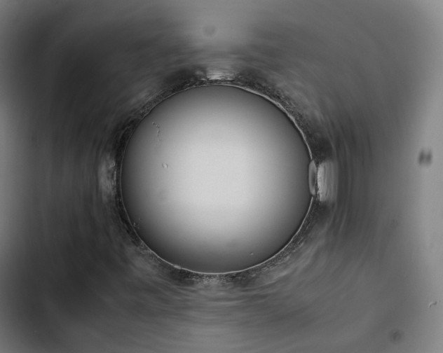 X0000103271443200809051456