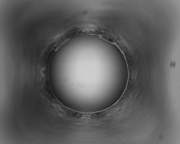 X0000103271445200809051456