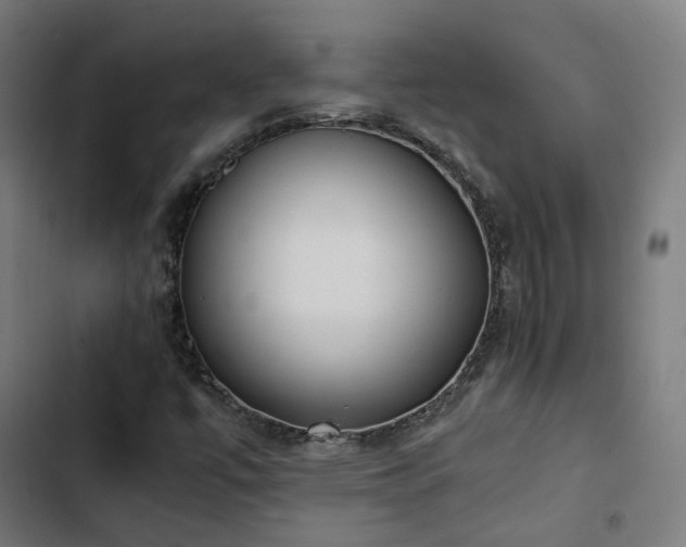 X0000103271447200809051456