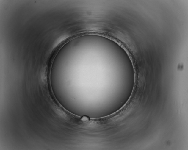X0000103271450200809051456