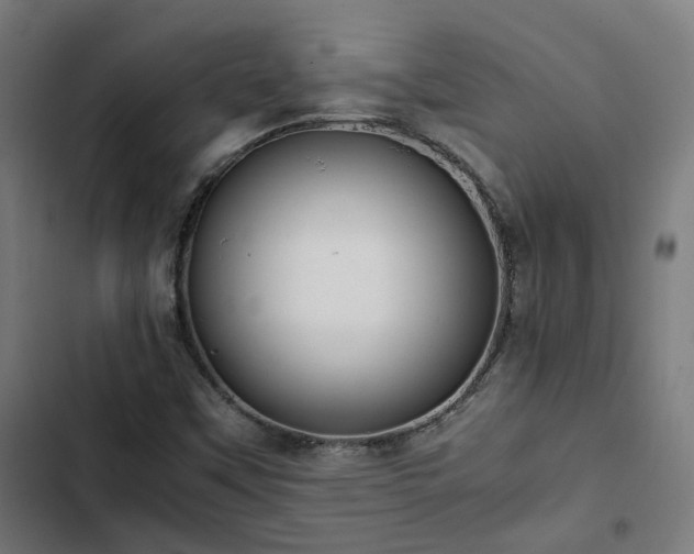 X0000103271451200809051456