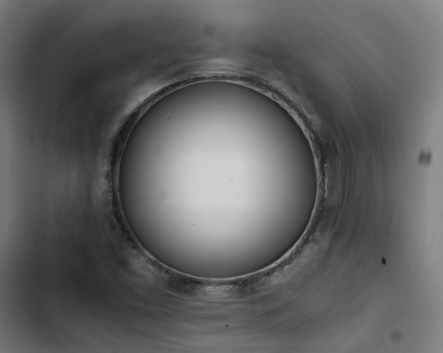 X0000103271453200809051456