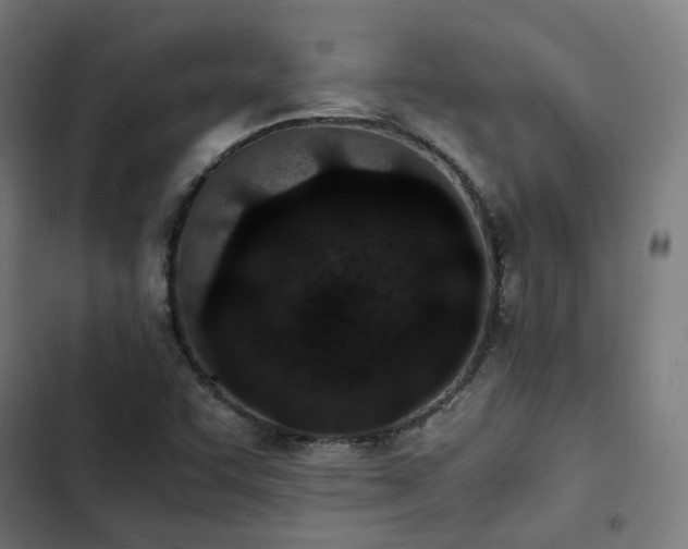 X0000103271455200809051456
