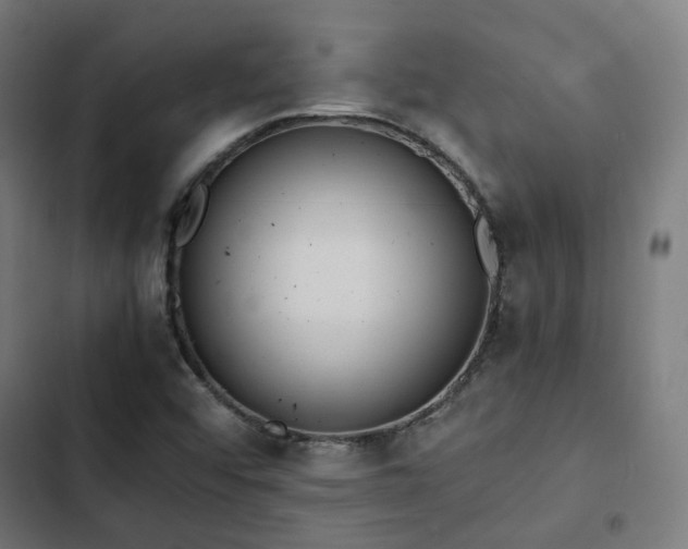 X0000103271456200809051456