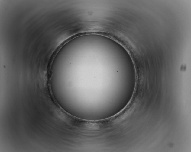 X0000103271457200809051456